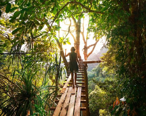 pexels-fmaderebner-238631